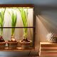 Indoor Plant - Default Header