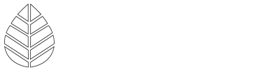 Jungle Culture