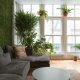 Living Room - Jungle Culture