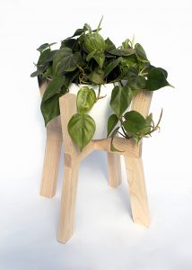 Philodendron in Wooden B-planter