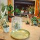 Indoor Plants - Jungle Culture
